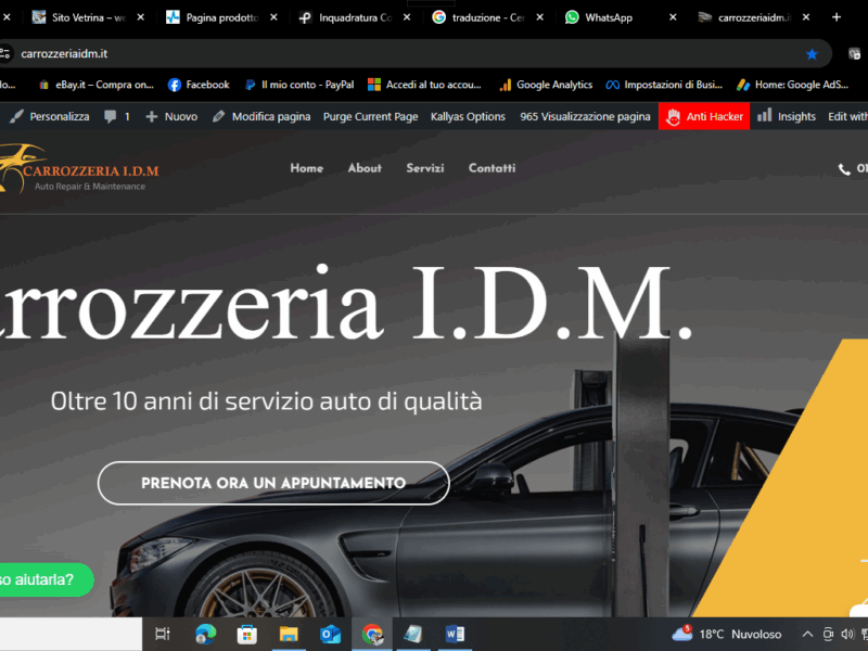 carrozzeria-idm